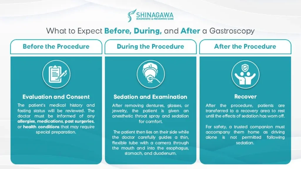 Infographic showing what to expect before, during, and after a gastroscopy, including preparation, sedation, and recovery steps.