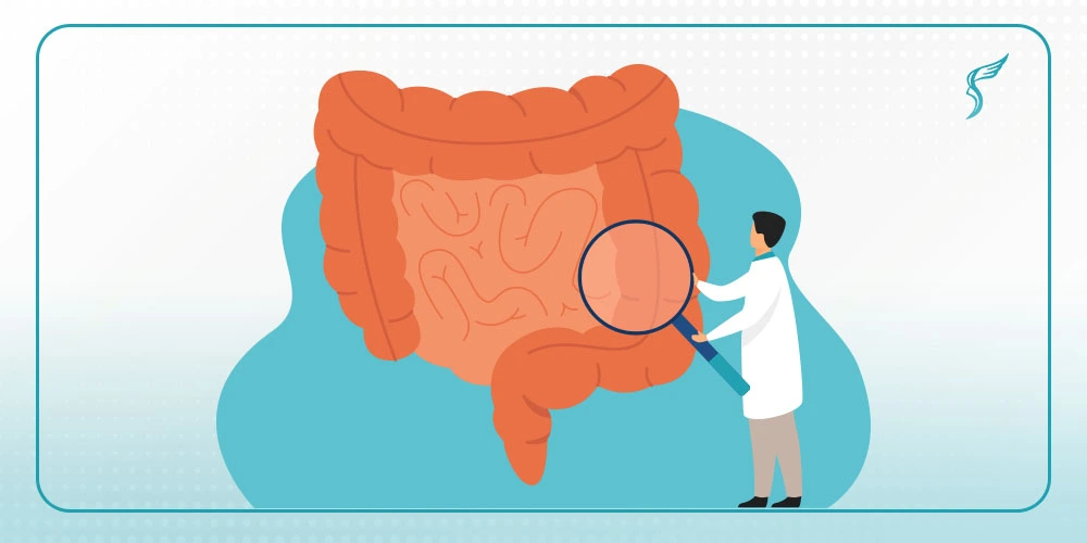 Illustration of a doctor examining a large intestine with a magnifying glass, symbolizing colonoscopy or digestive health screening at Shinagawa Diagnostic & Preventive Care.