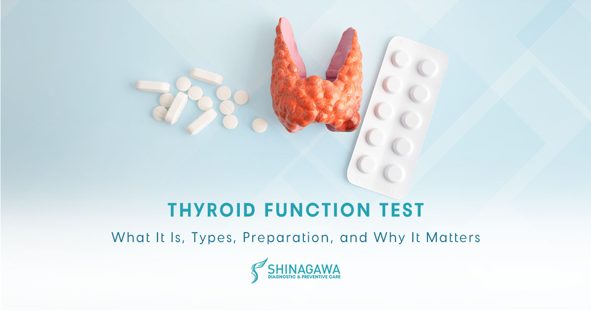 Thyroid Function Test: What It Is, Types, Preparation, and Why It Matters